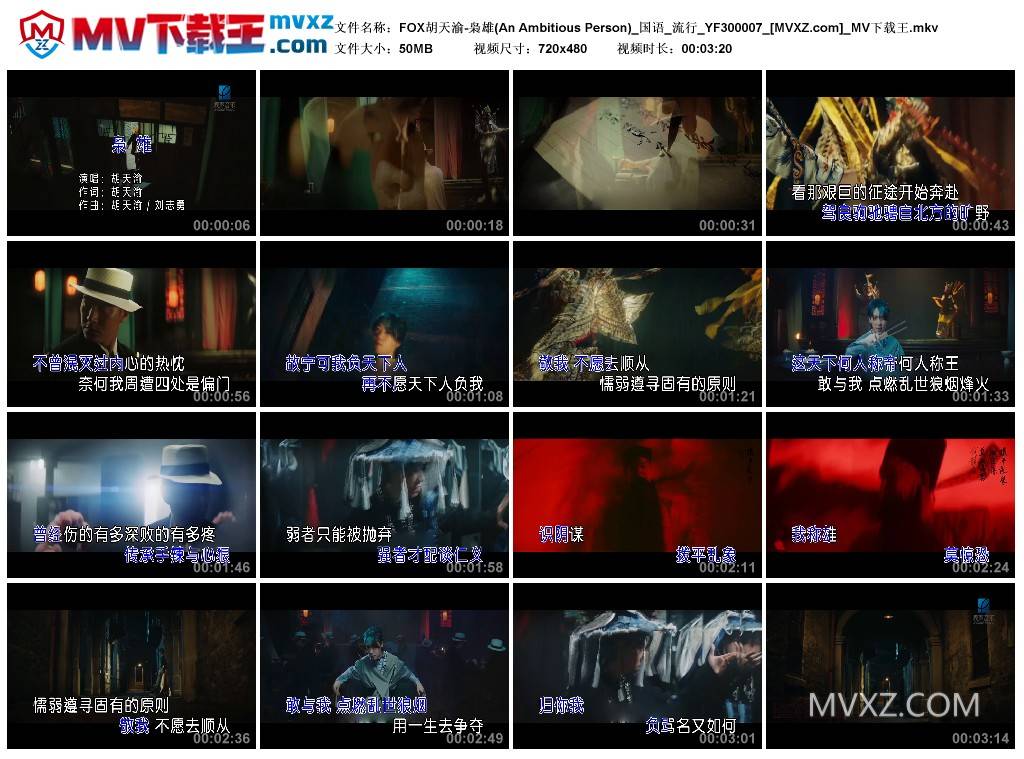 FOX胡天渝-枭雄(An Ambitious Person)_国语_流行_YF300007